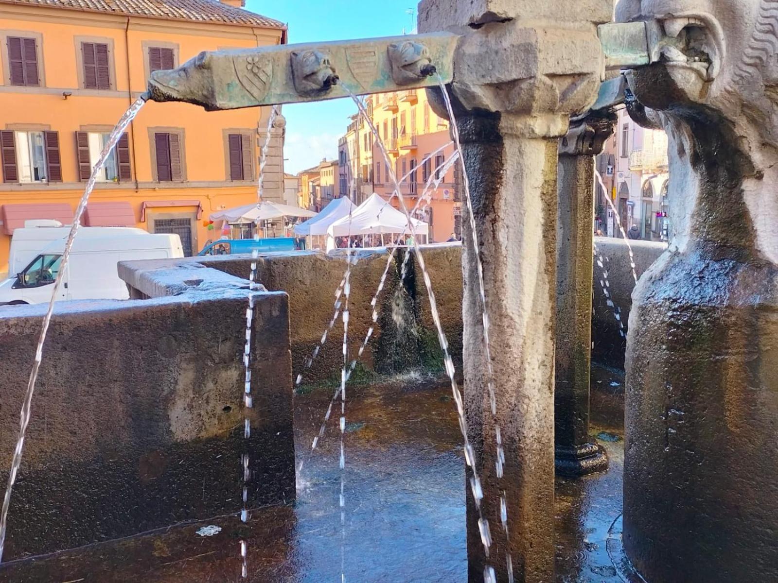 Appartamento Residenza Del Sepale Viterbo Esterno foto
